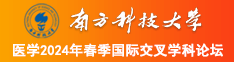 大胸大鸡巴激情av南方科技大学医学2024年春季国际交叉学科论坛